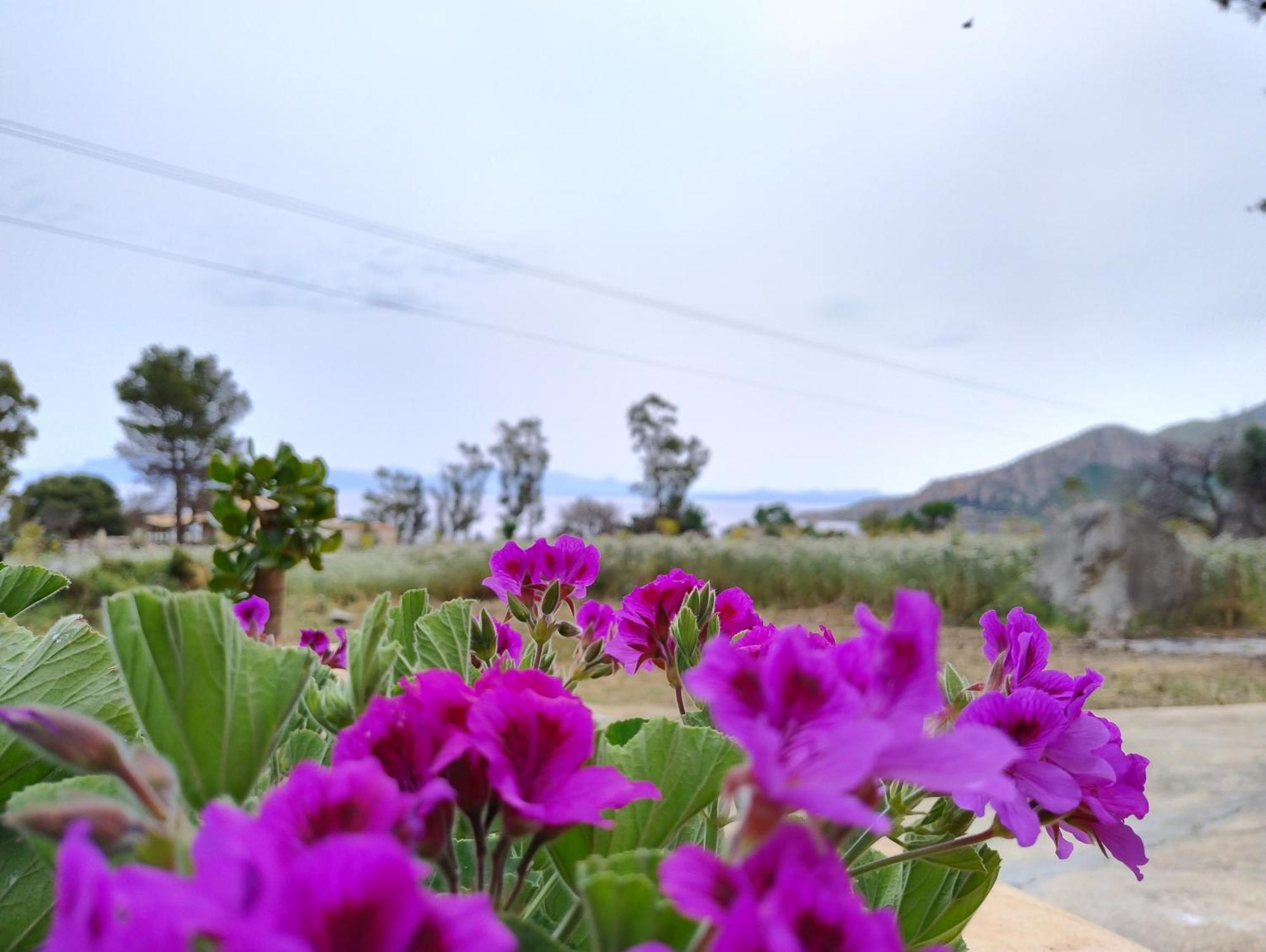 Casa Ciclamino Holiday home San Vito Lo Capo